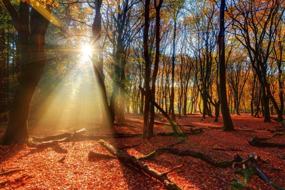 Enjoy Nature, Nice Stay And Beautiful Surroundings Putten Luaran gambar